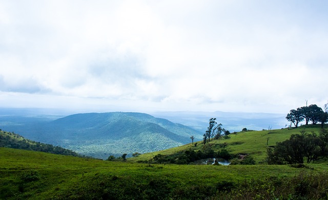 短道速滑界 短道速滑界