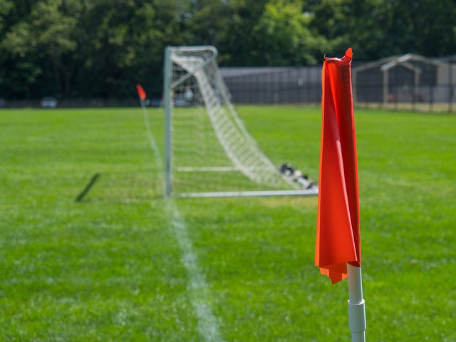 这对情侣选 这对情侣选