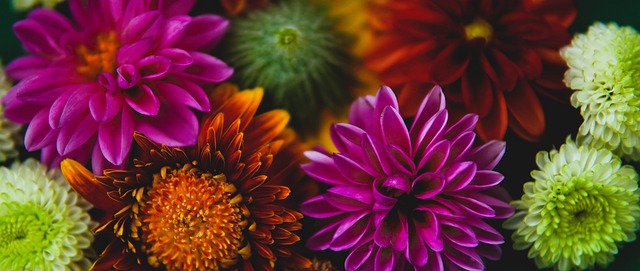 曼聯洽談拜仁球員馬茲拉維和德裏赫特 已接觸伯恩利中場博格.