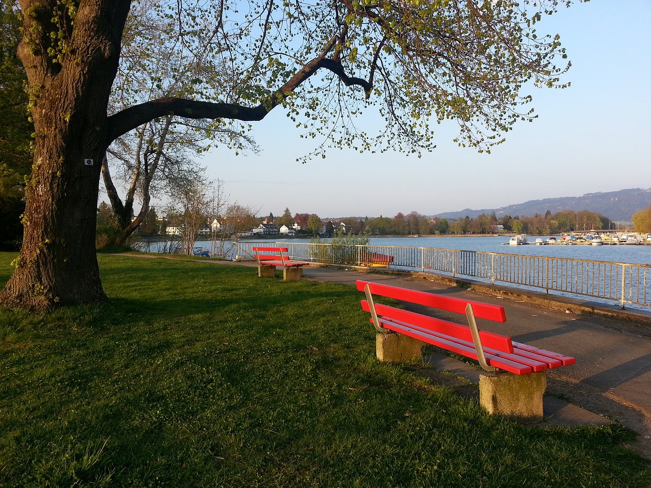 裏夫斯助攻達16次 克內克特表示對此表現毫不意外.