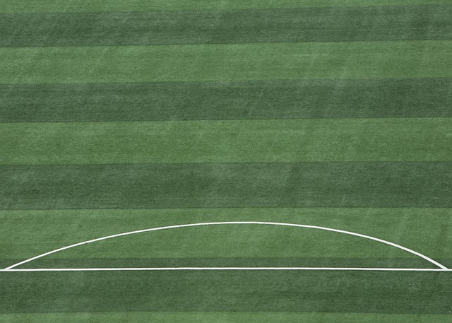 库里和詹姆 库里和詹姆