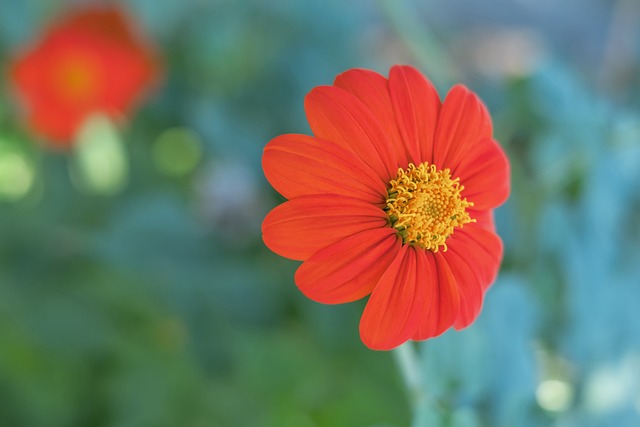 对比隔壁圆规,真不贵!曼城对阿尔瓦雷斯的标价为8000万欧元.