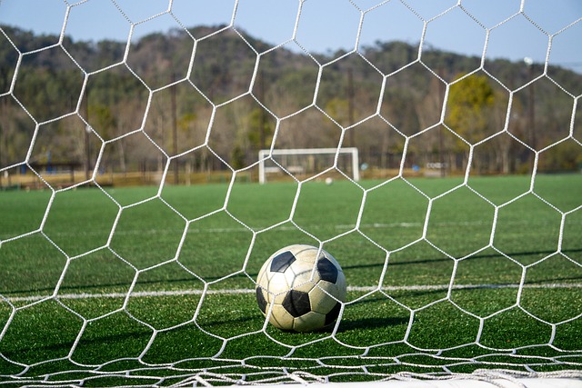 军的有力争 军的有力争