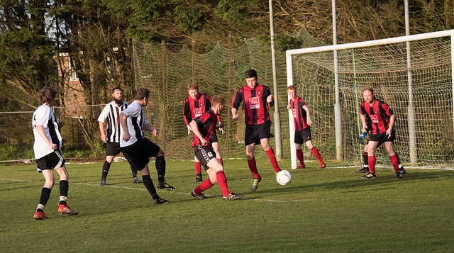 的监督和指 的监督和指